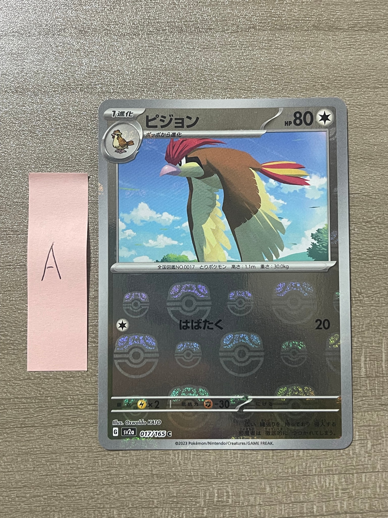 ピジョン C: マスターボールミラー[SV2a 017/165](強化拡張パック「ポケモンカード151」)