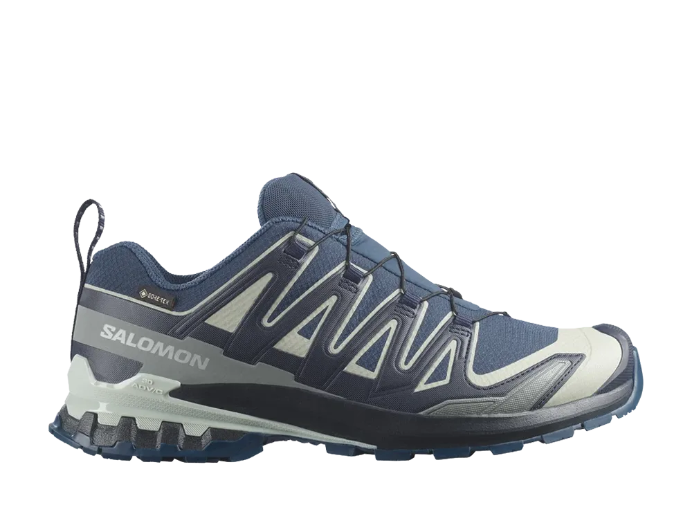 Salomon XA Pro 3D V9 GORE-TEX "Blue"