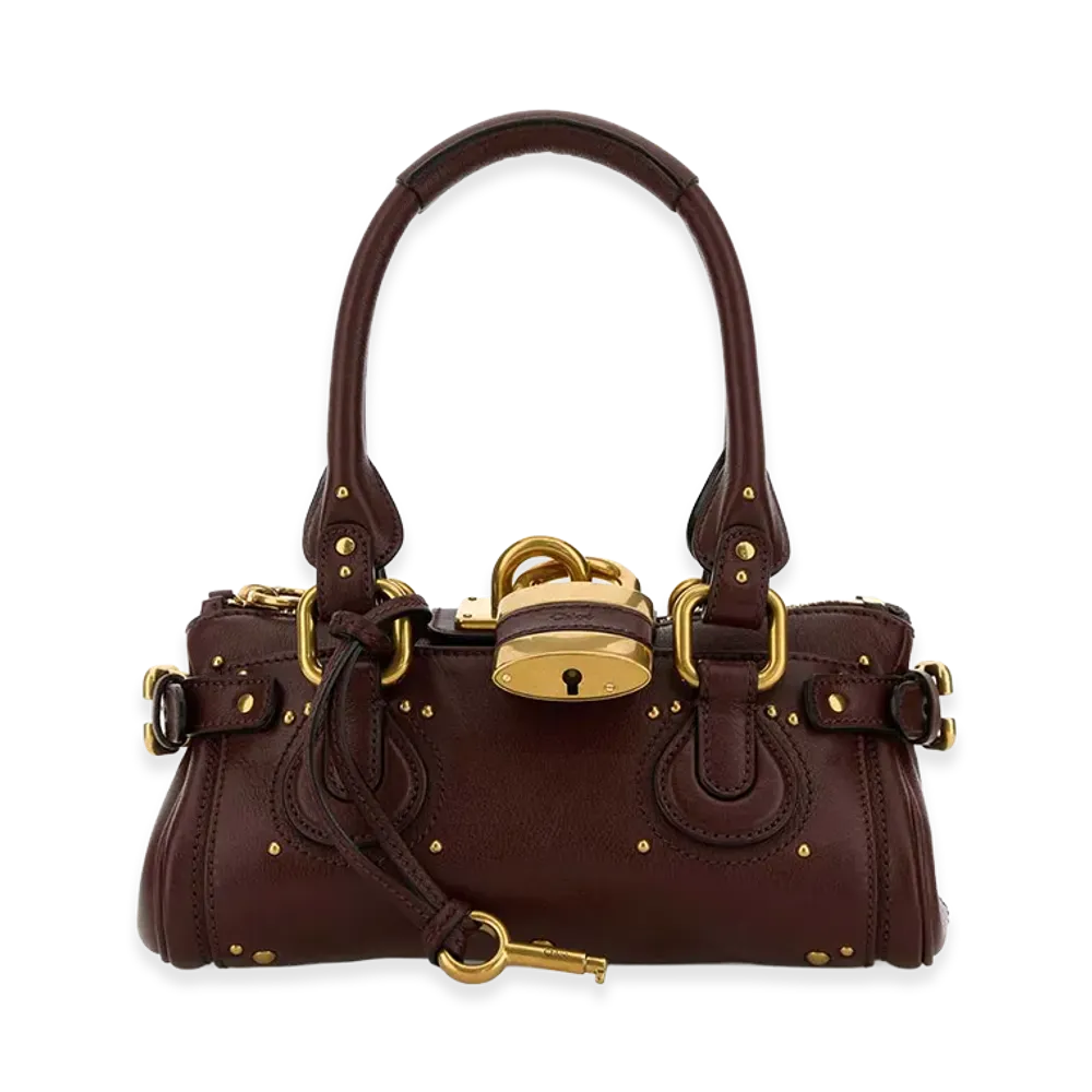 Chloe Women's Small Paddington Handbag "Brown"