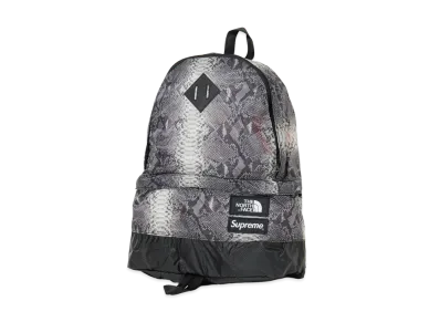 Supreme x The North Face Lightweight Day Pack "Black"