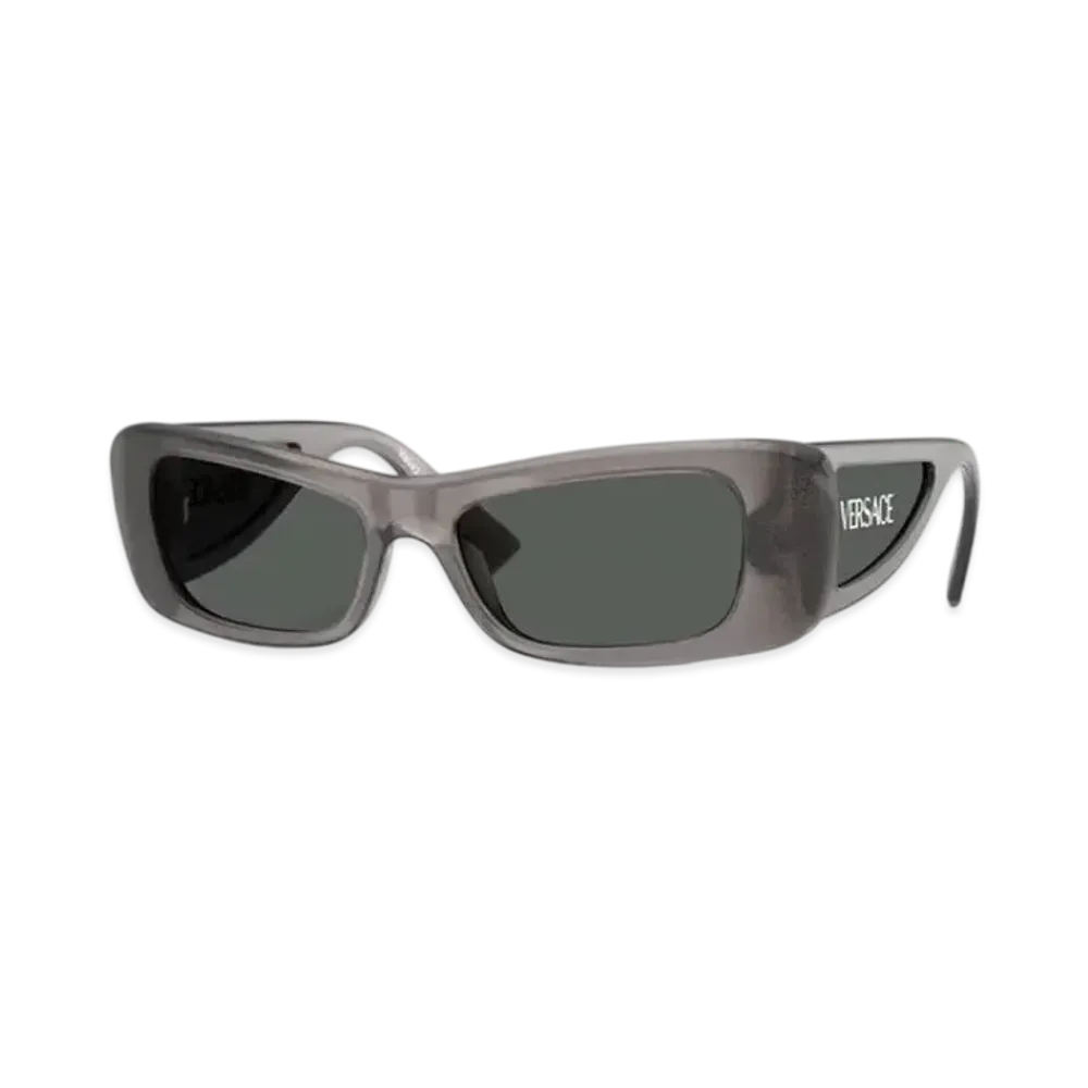 Versace Lens Logo Sunglasses "Gray"