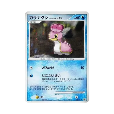 無殼海牛 にしのうみ :キラ