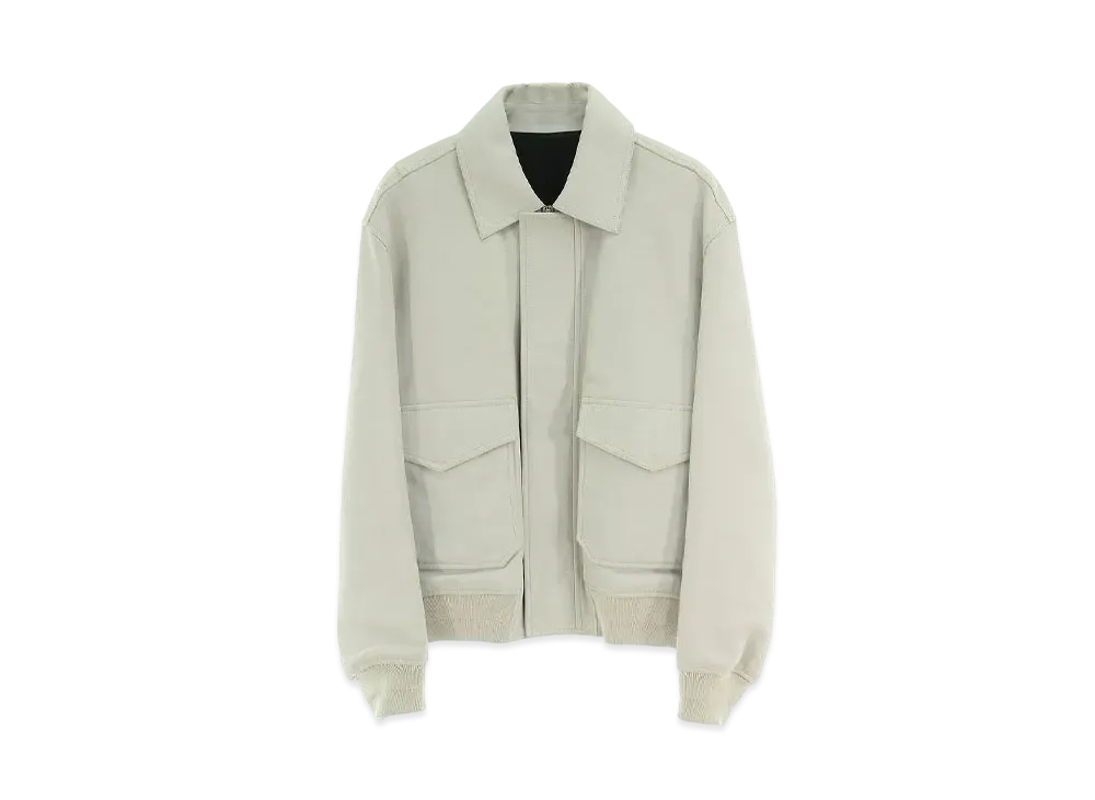 Dior x DANIEL ARSHAM Back Logo Leather Blouson "Light Gray"