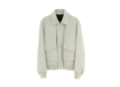 Dior x DANIEL ARSHAM Back Logo Leather Blouson "Light Gray"