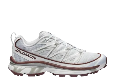 Salomon XT-6 Expanse "Ancient Water/Bitter Chocolate/Ftw Silver"