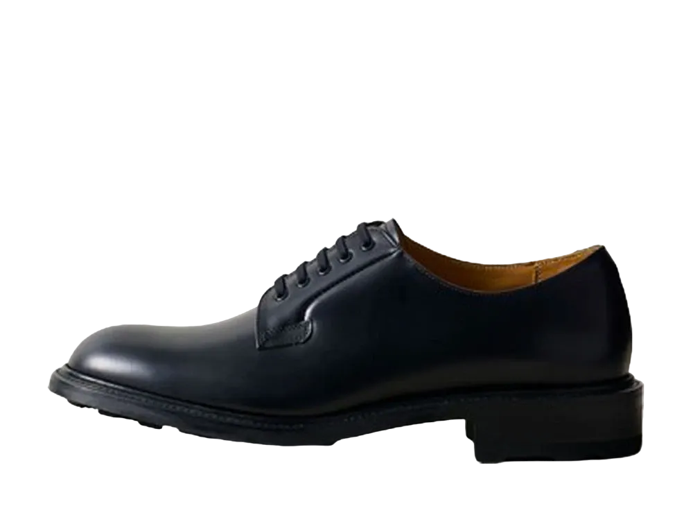 REGAL Plain Toe Calf Leather "Black" 02BLCB EE