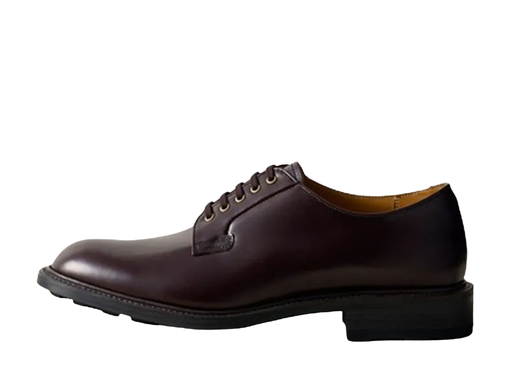 REGAL Plain Toe Calf Leather "Dark Brown" 02BLCB EE