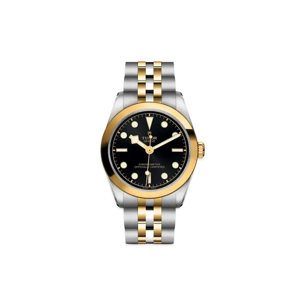 TUDOR BLACK BAY 31 S&G