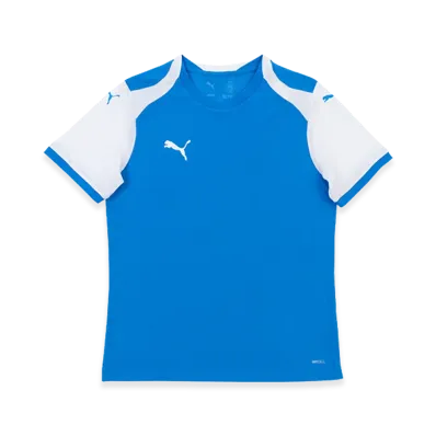 PUMA teamFINAL 26 Knit Match Shirt "Blue"