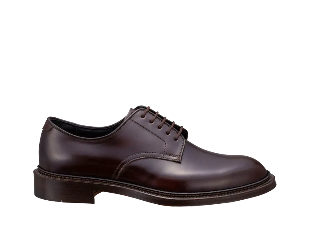 REGAL SHETLANDFOX Plain Toe Horse Leather(Cordovan) "Wine" 046FSF EE