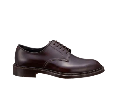 REGAL SHETLANDFOX Plain Toe Horse Leather(Cordovan) "Wine" 046FSF EE