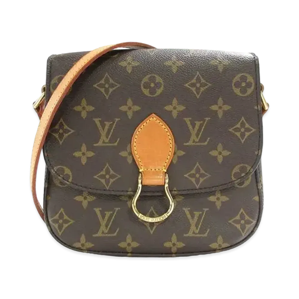 Louis Vuitton Monogram Saint Cloud 18