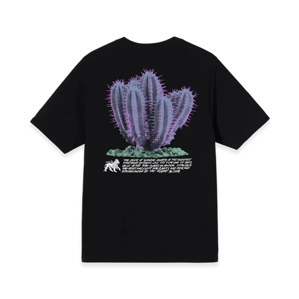 Stussy Desert Bloom Tee "Black"