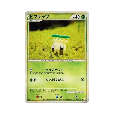 向日種子