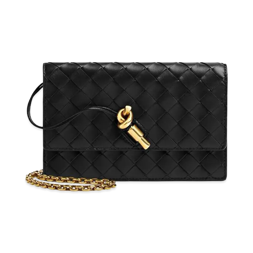 Bottega Veneta Andiamo Chain Pouch "Black"