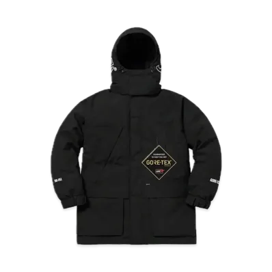 Supreme GORE-TEX 700-Fill Down Parka "Black"