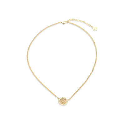 Dior Logo Rhinestone Oval Necklace "Gold"