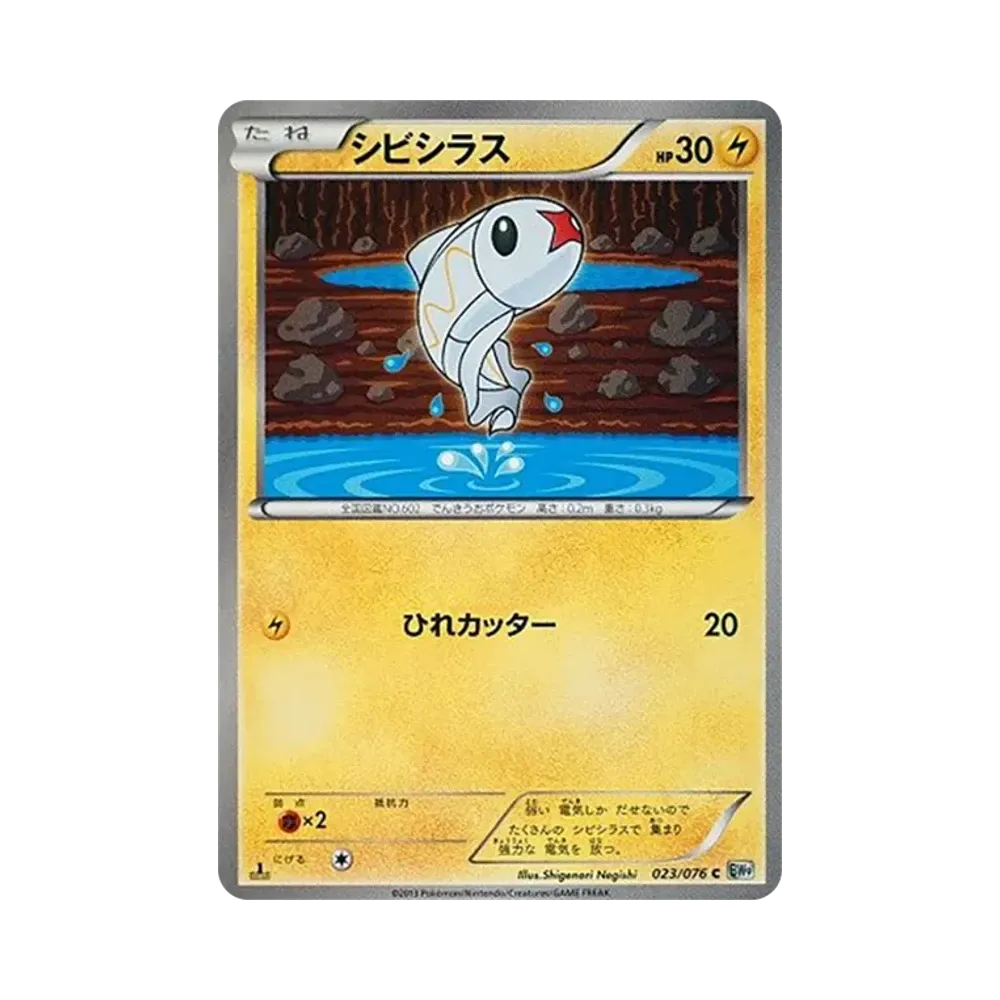 麻麻小魚