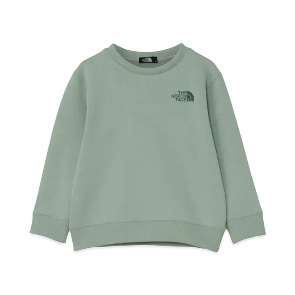 The North Face Kids Toddler Colorized Sweat Crew "Iceberg Green"