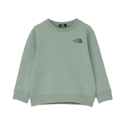 The North Face Kids Toddler Colorized Sweat Crew "Iceberg Green"