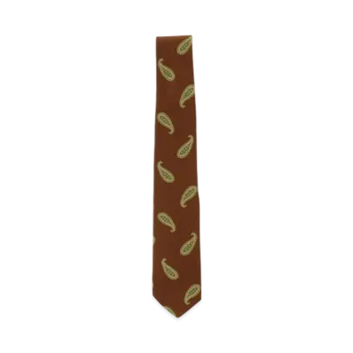 BEAMS Silk Tie Paisley Print "Brown"