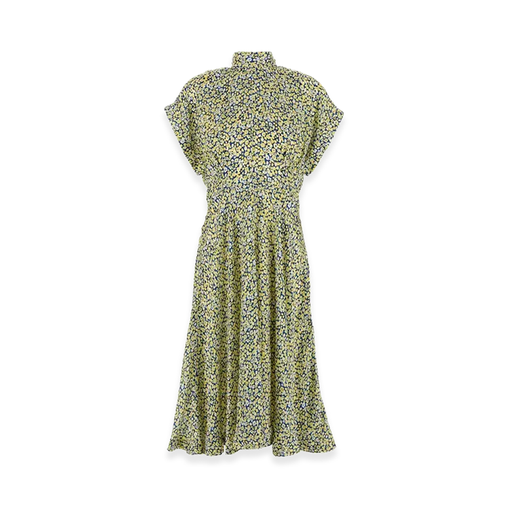 Bottega Veneta Women's Printed Silk Dress "Multicolor"
