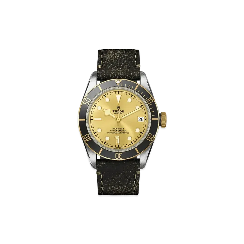 TUDOR BLACK BAY S&G