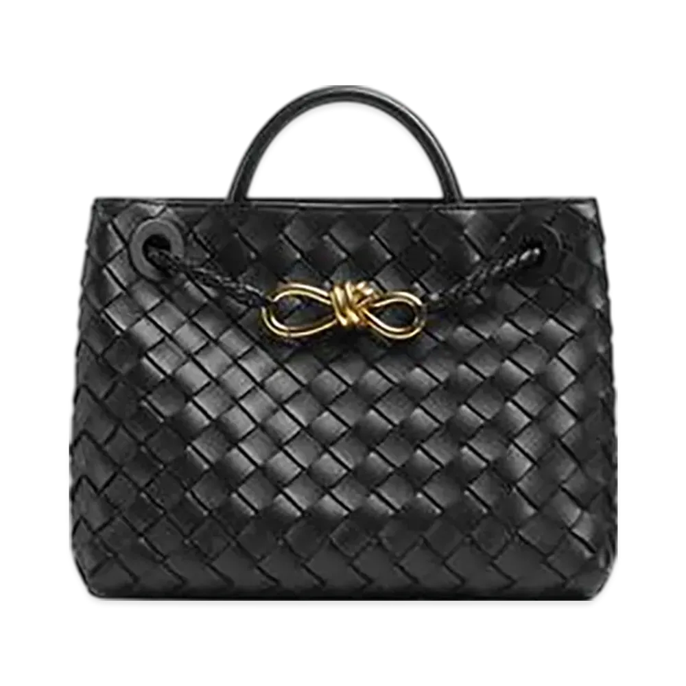 Bottega Veneta Small Andiamo "Black"
