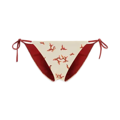 FENDI Women's Stretch Nylon Bikini Bottom "White"
