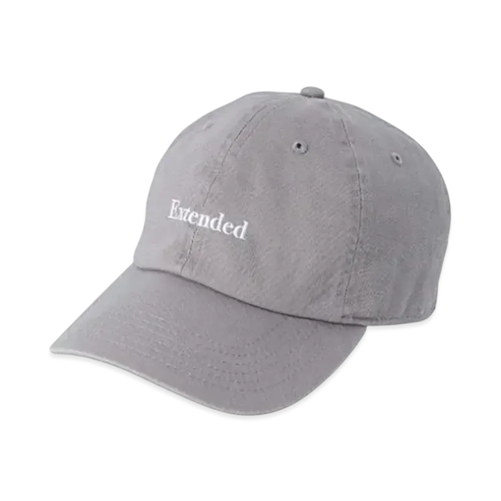 POET MEETS DUBWISE Extended Tours 6 Panel Cap "Grey"
