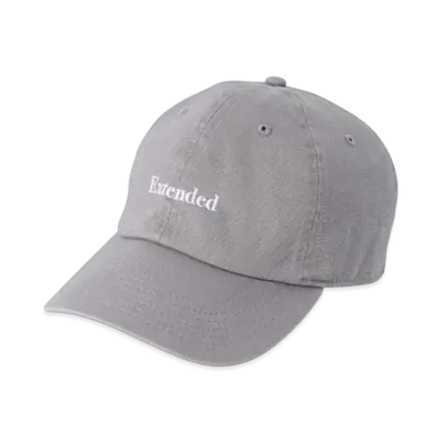 POET MEETS DUBWISE Extended Tours 6 Panel Cap "Grey"
