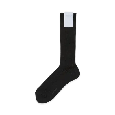AURALEE Cotton Low Gauge Socks "Black"