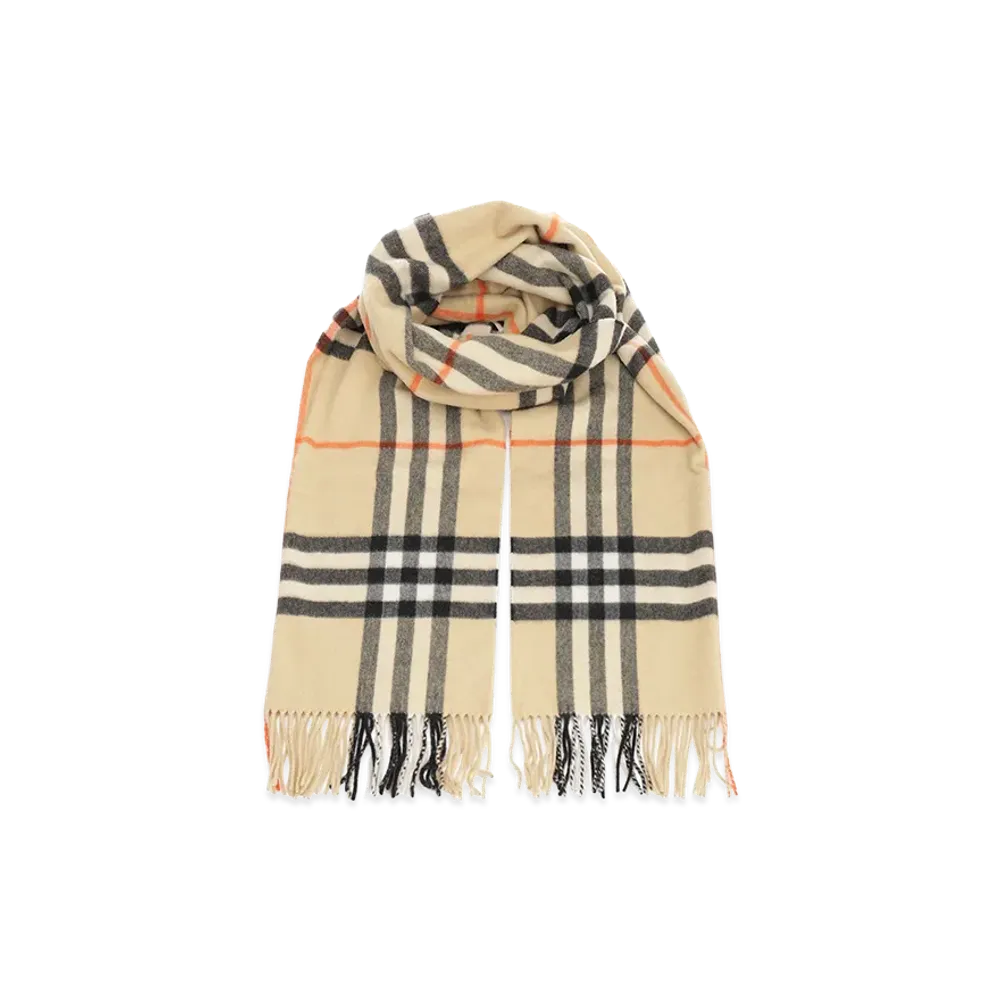 Burberry Embroidered Cashmere Scarf "Printed"