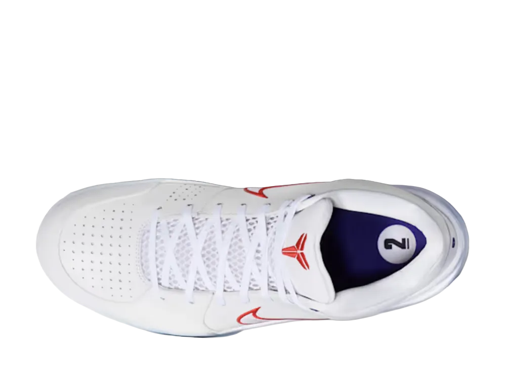 Nike Kobe 4 Protro Draft Pack "Raptors"