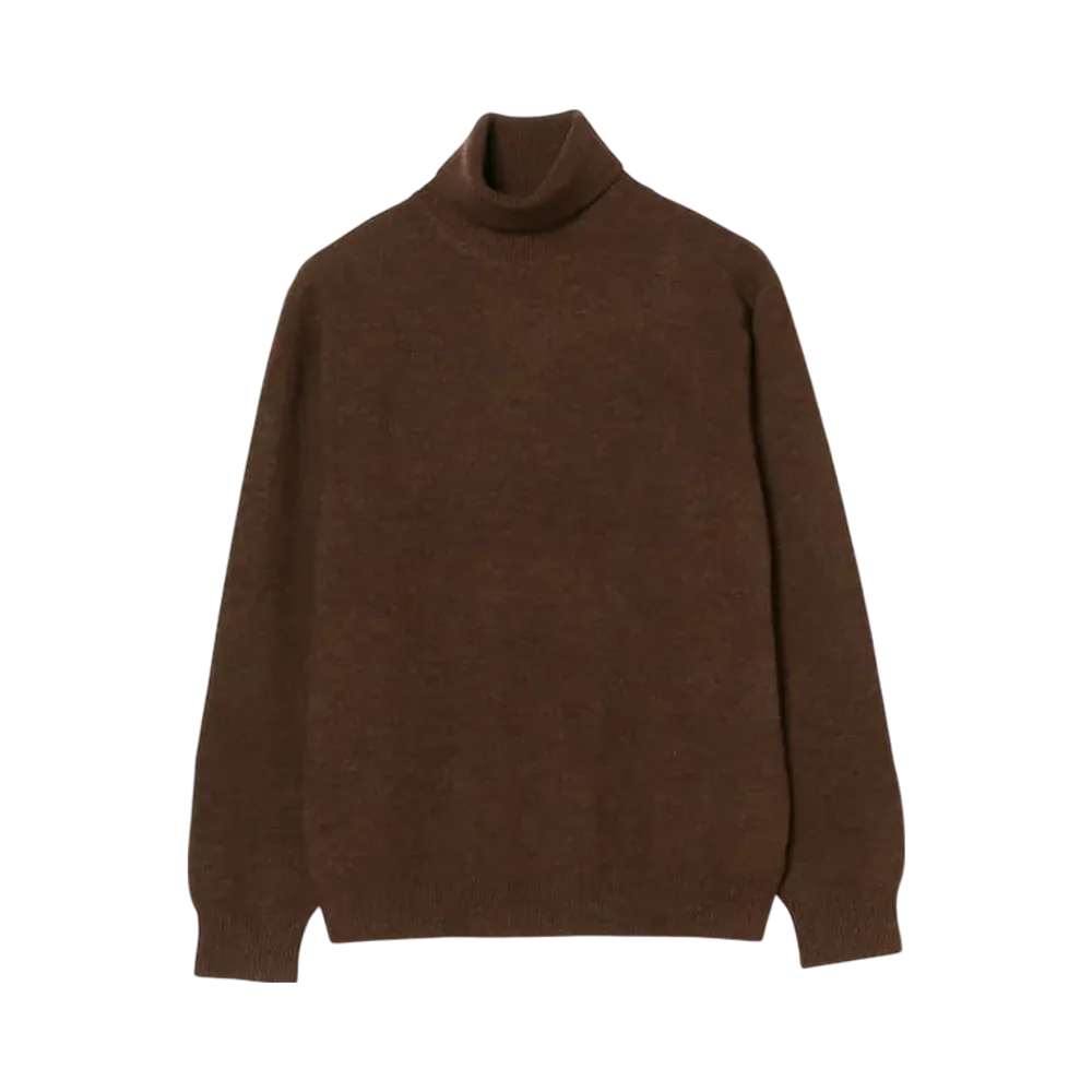 BEAMS Turtle 9G "Brown"