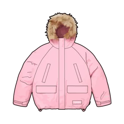 Supreme 2-in-1 GORE-TEX Parka + Reversible 700-Fill Down Liner Jacket "Light Pink"