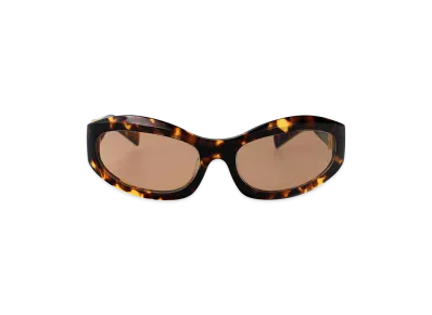 MIU MIU Women's Sunglasses "Brown"