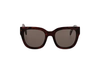 PRADA Women's Sunglasses "Brown/Datk Gray"
