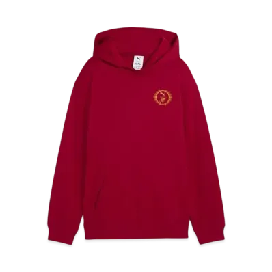 PUMA x Harry Potter Boys Relax Graphic Hoodie "Dark Crimson"