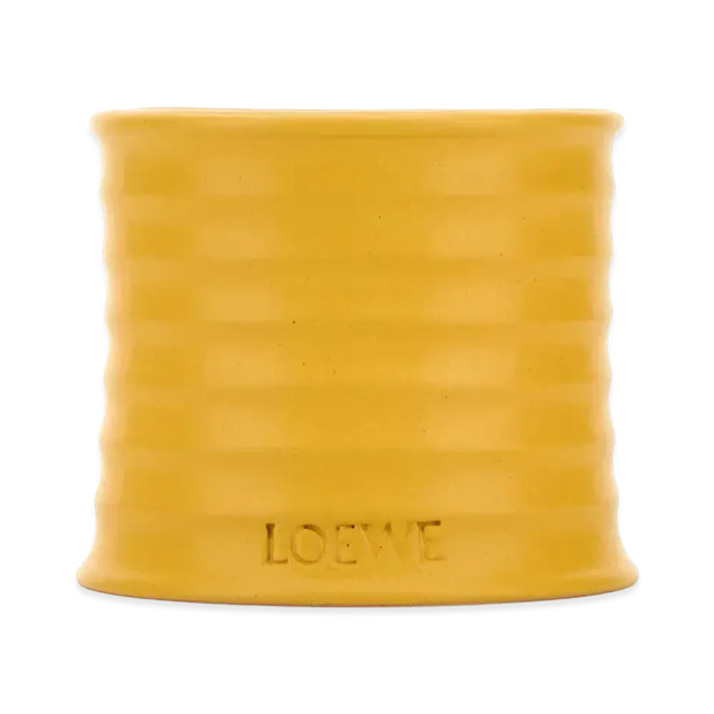 LOEWE Small Wasabi Scented Candle "Yellow"