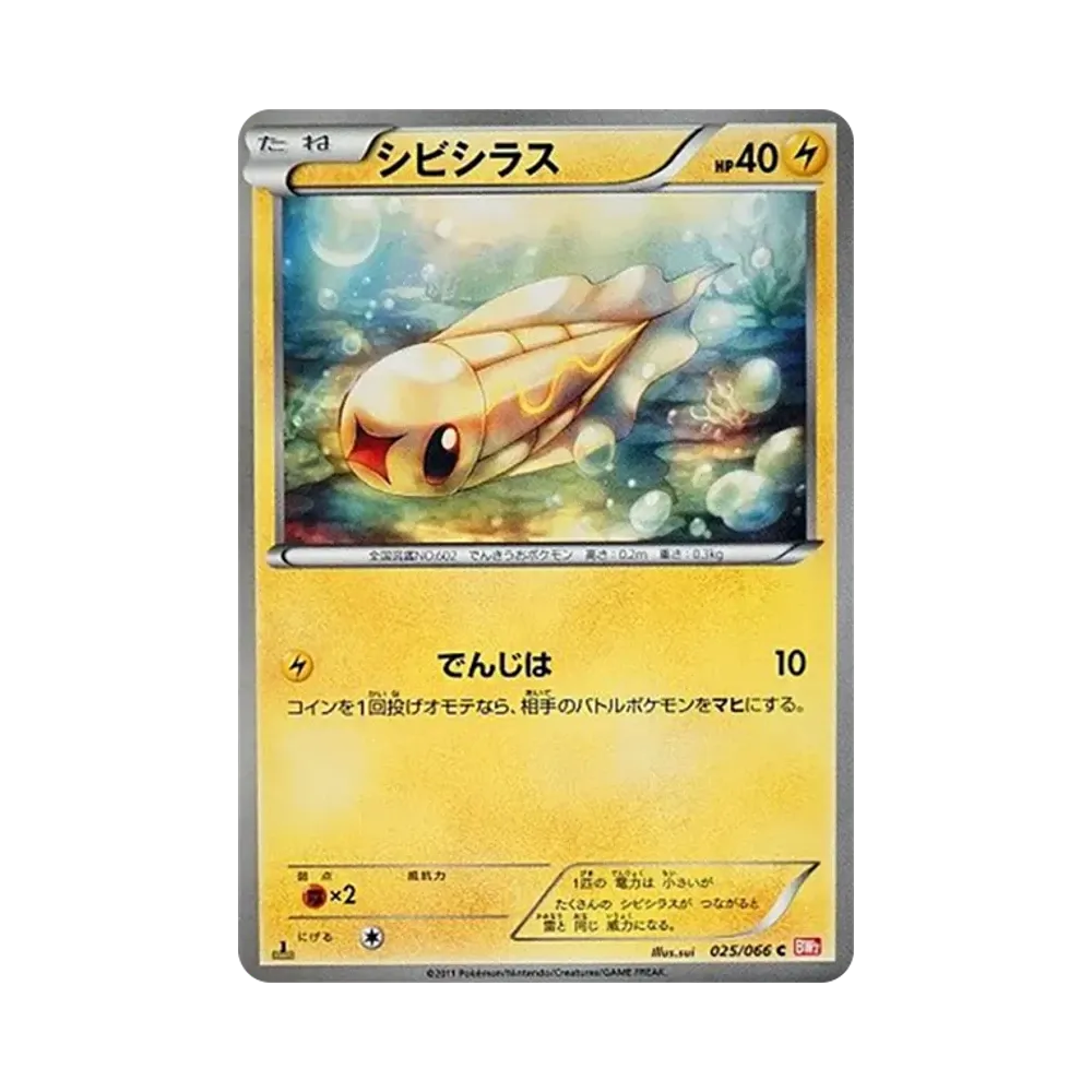 麻麻小魚