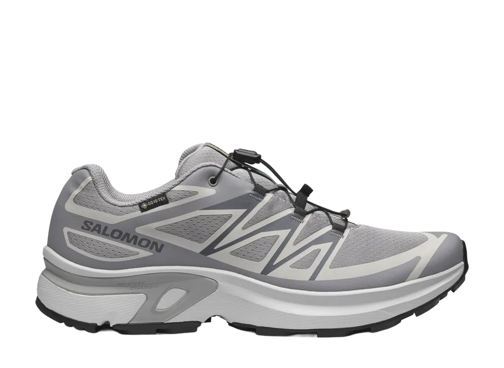Salomon XT-EVR GORE-TEX "Alloy/Lunar Rock/Black"