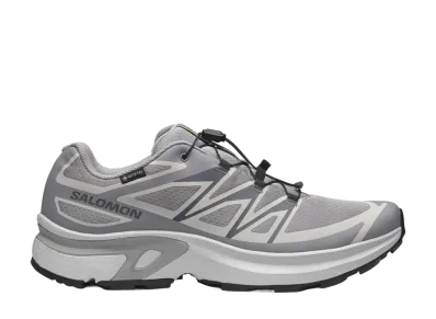 Salomon XT-EVR GORE-TEX "Alloy/Lunar Rock/Black"