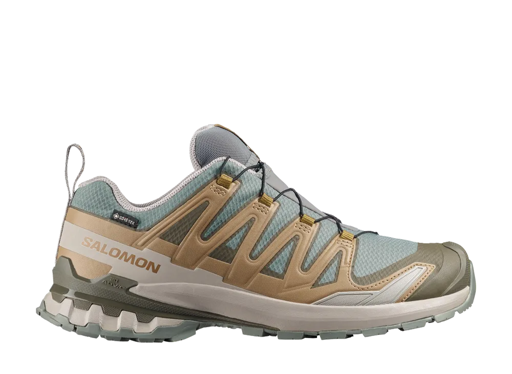 Salomon XA Pro 3D V9 GORE-TEX "Sedona Sage/Brilliant Olive/Paloma"