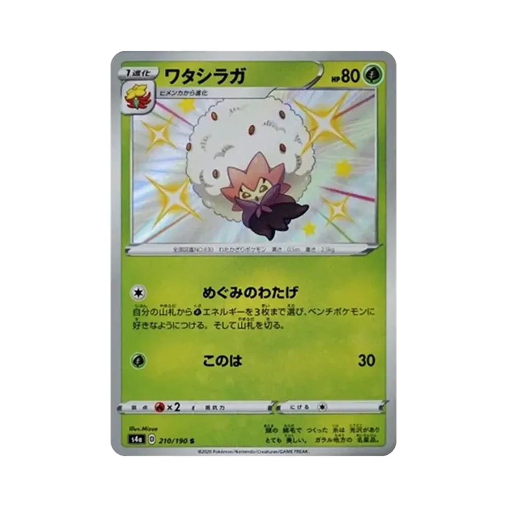ワタシラガ S[s4a 210/190](ハイクラスパック「シャイニースターV」)