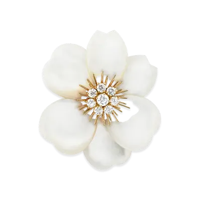 Van Cleef & Arpels Rose de Noel clip large model "18K Yellow gold/Diamond/Mother-of-pearl"