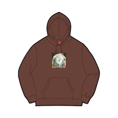 Supreme Ecstasy Hooded Sweatshirt "Dark Brown"