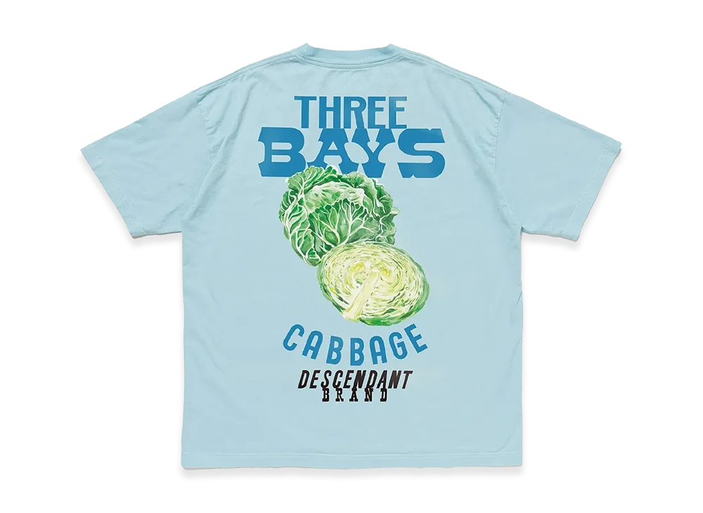 DESCENDANT 3Bays SS "Blue"