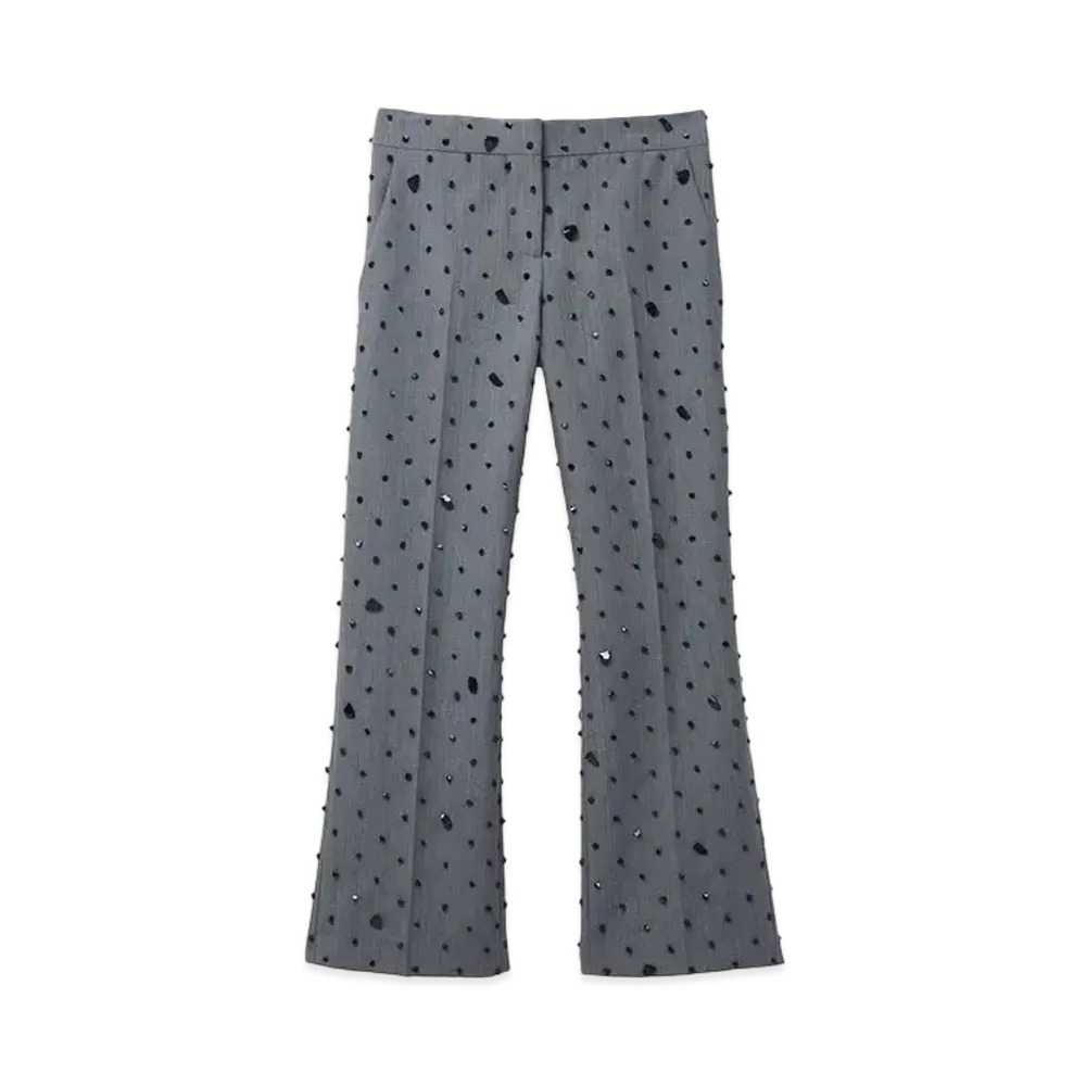 Alexander McQUEEN Cosmic Stone Embroidery Cropped Trousers "Gray"