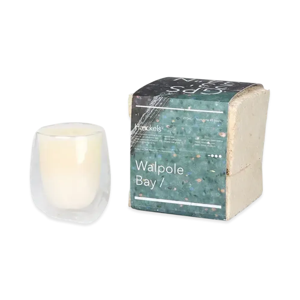 Paul Smith Haeckels Candle "AtherD"